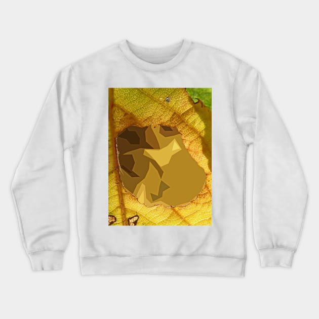 A Hole in the Universe Crewneck Sweatshirt by PictureNZ